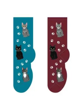 BURGUNDY Pretty Cats Socks