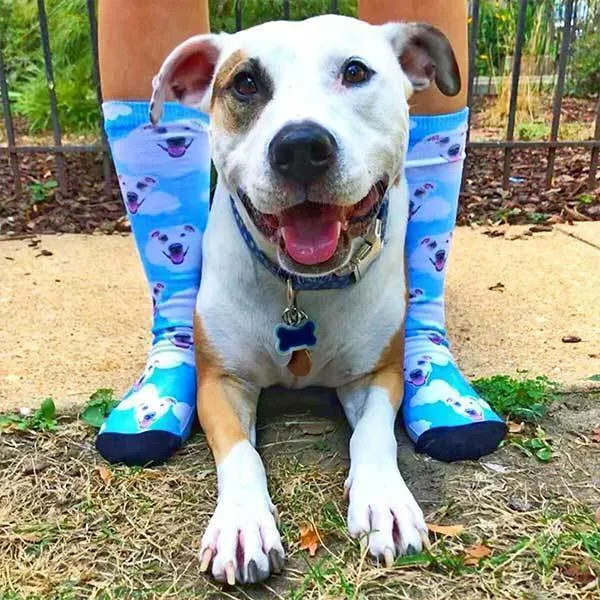 Custom Pet Art Socks