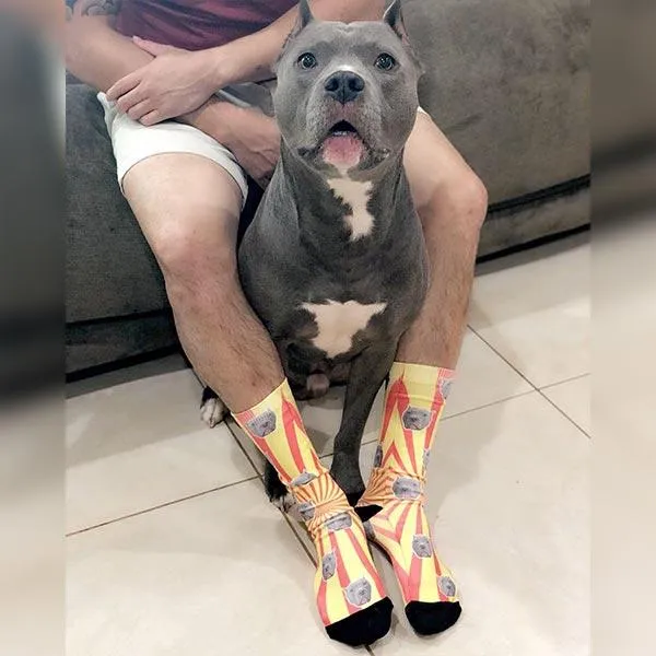 Custom Pet Art Socks