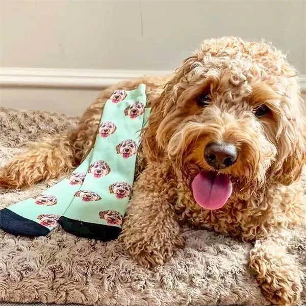 Custom Pet Art Socks