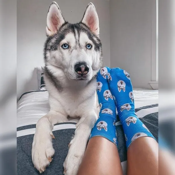 Original Pet Pop Art Socks