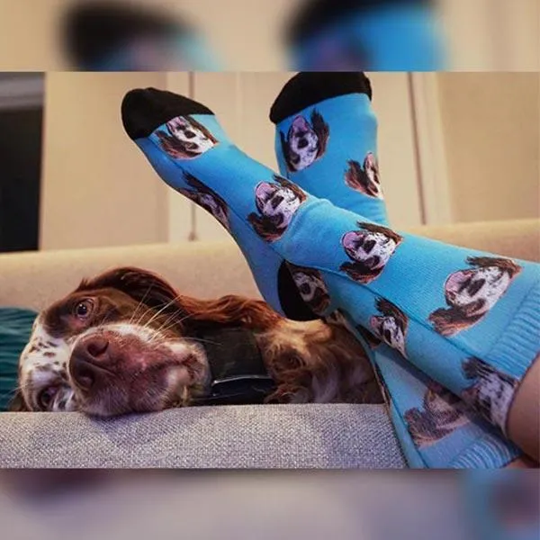 Original Pet Pop Art Socks